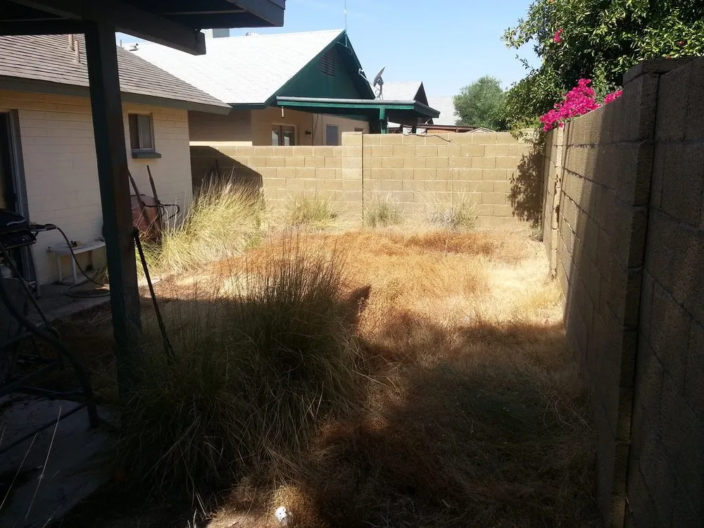 Professional landscape design experts serving Sun City, AZ - E&R Lawn Care
