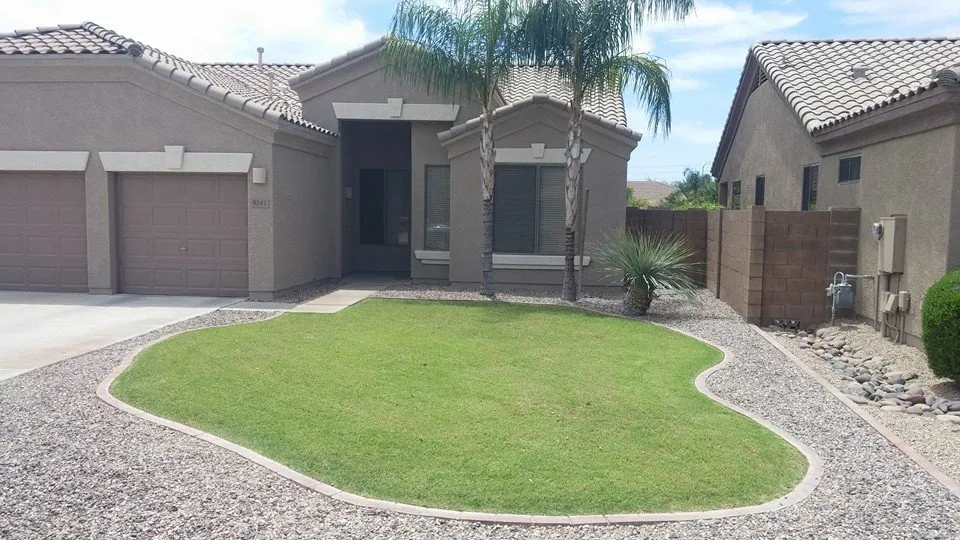 Professional yard cleanup service for outdoor upgrades in Sun City, AZ by E&R Lawn Care