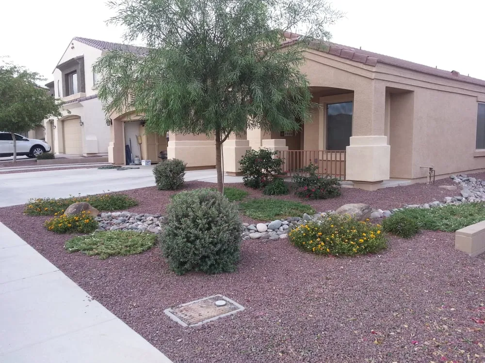 Local outdoor landscaping for year-round maintenance across Sun City, AZ - E&R Lawn Care