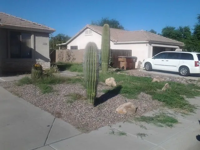 Custom yard cleanup service for homes across Sun City, AZ - E&R Lawn Care