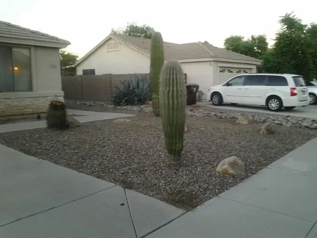 Top-rated landscaping services experts serving Sun City, AZ - E&R Lawn Care