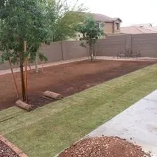 Professional lawn mowing service in Sun City, AZ - E&R Lawn Care