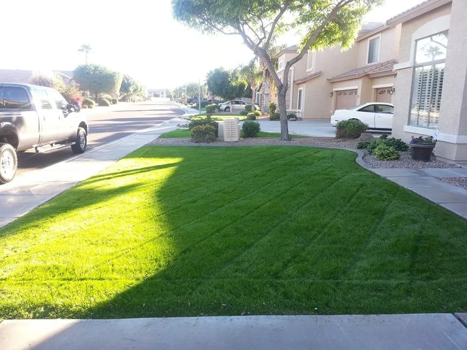 Local yard cleanup service for year-round maintenance across Sun City, AZ - E&R Lawn Care