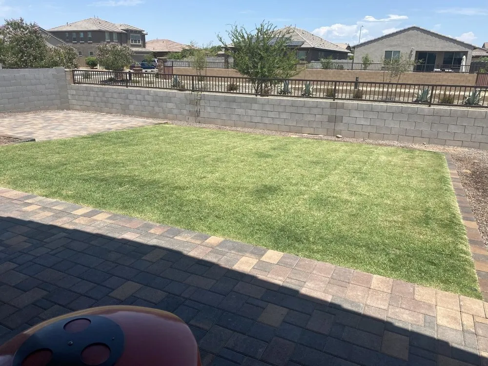 Trusted lawn care service in Sun City, AZ by E&R Lawn Care
