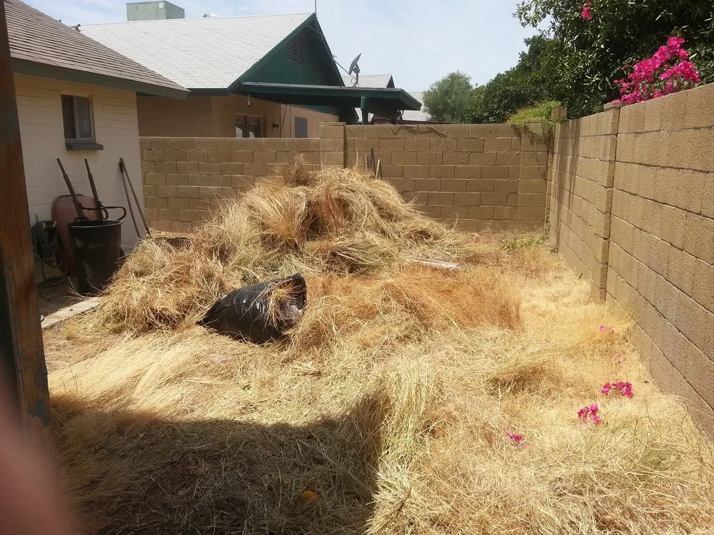 Custom landscaping services experts serving Sun City, AZ - E&R Lawn Care