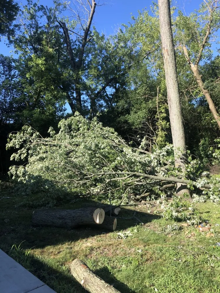 Top-rated yard maintenance in Chicago, IL - E&R Lawncare & Plantscapes