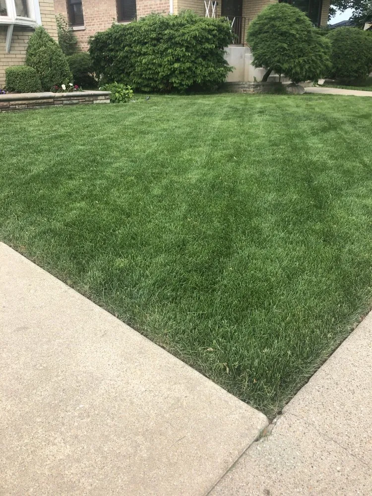 Top-rated landscaping services experts serving Chicago, IL - E&R Lawncare & Plantscapes