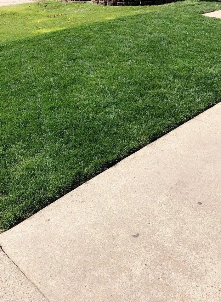 Affordable yard maintenance with custom design in Chicago, IL by E&R Lawncare & Plantscapes