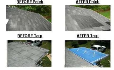 Local garden landscaping for outdoor upgrades across Penngrove, CA - ER Maintenance & Debris Removal/Hauling