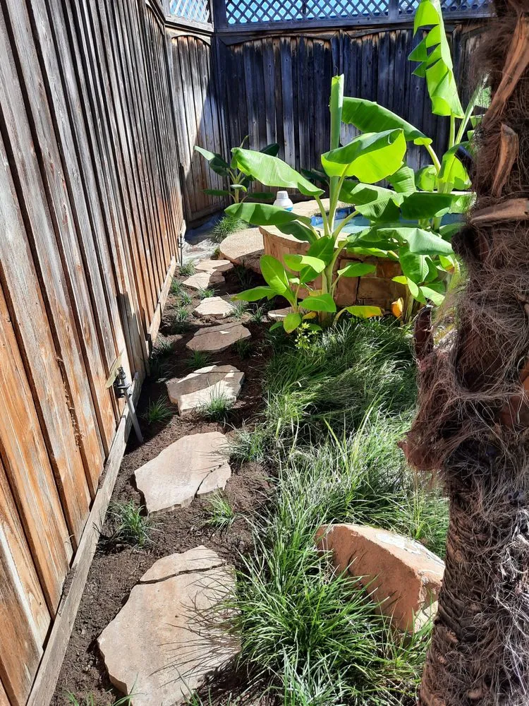 Expert landscape design in Plano, TX by ER Mowing