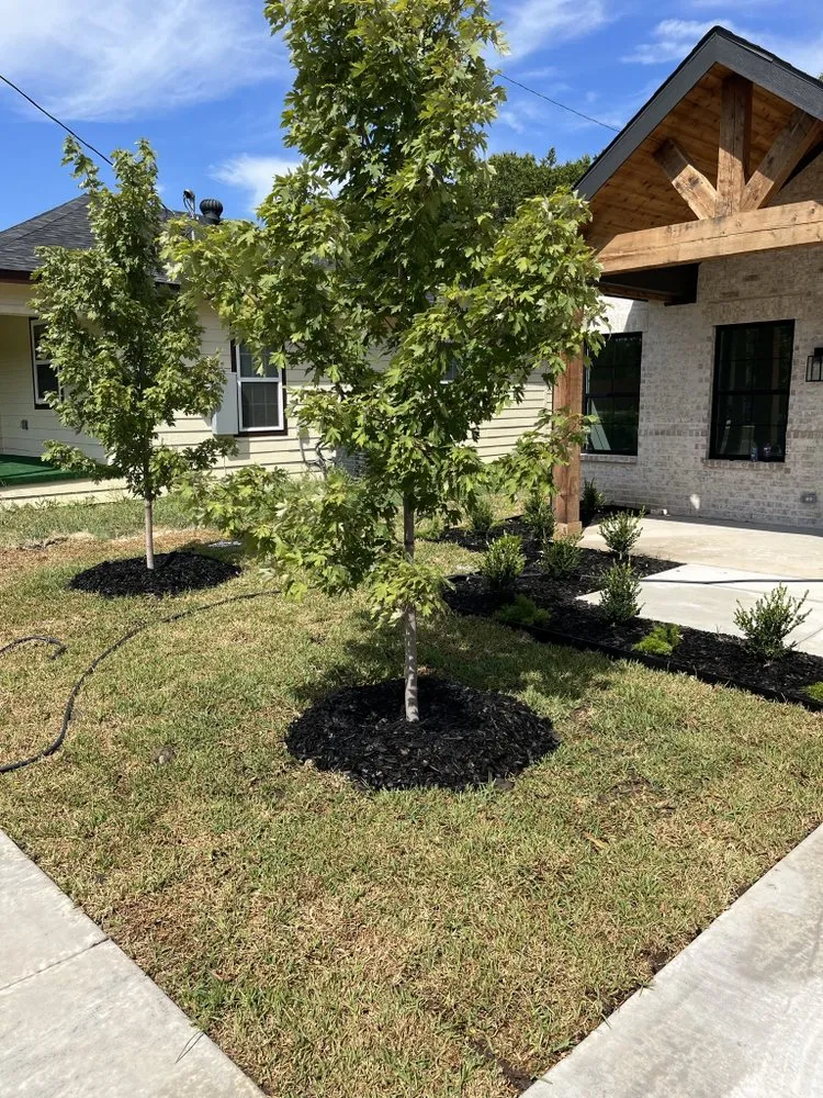 Reliable yard maintenance for beautiful yards across Austin, TX - ER Out The Door