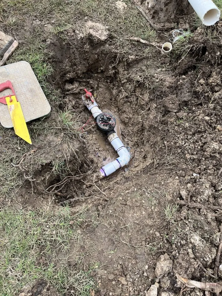 Affordable yard cleanup service in Austin, TX - ER Out The Door