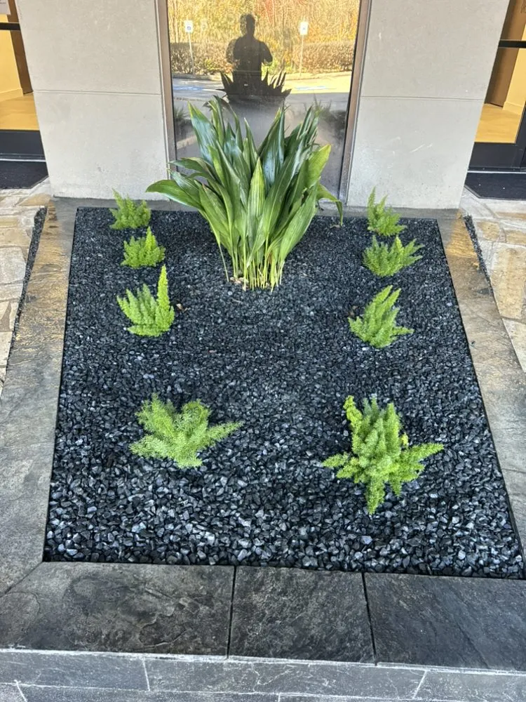 Affordable landscape installation in Austin, TX - ER Out The Door