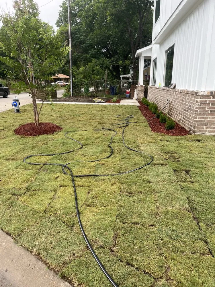 Affordable lawn care service for year-round maintenance in Austin, TX by ER Out The Door