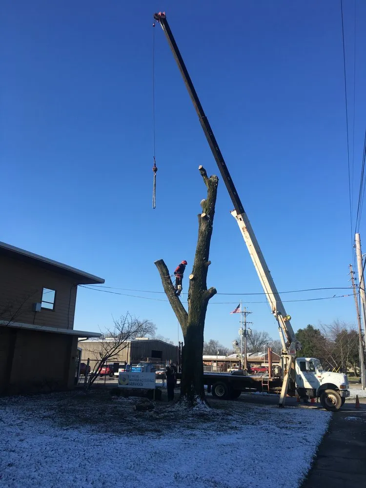 Local landscape installation in Louisville, KY by ER Tree Care