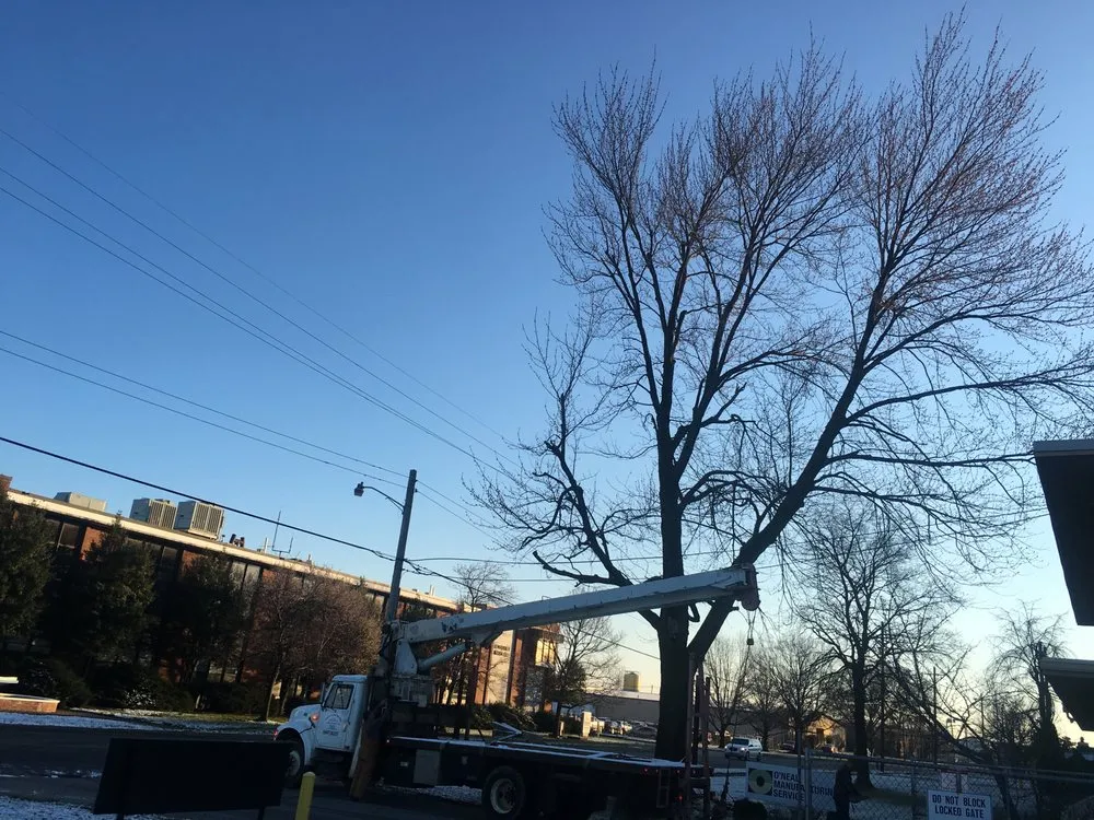 Affordable garden landscaping in Louisville, KY by ER Tree Care