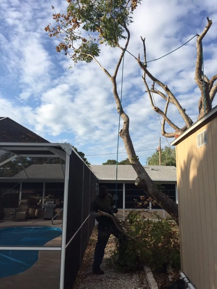 Affordable landscape design experts serving Saint Petersburg, FL - Er Tree services