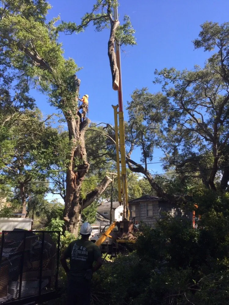 Custom landscape design in Saint Petersburg, FL - Er Tree services