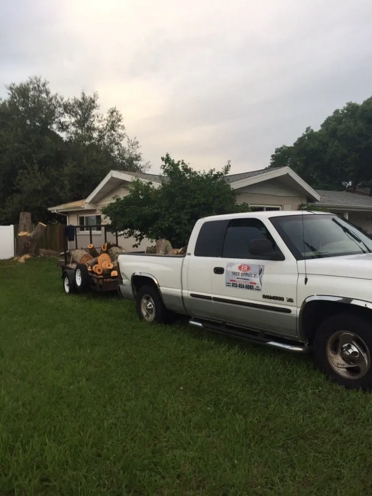 Local lawn mowing service in Saint Petersburg, FL - Er Tree services