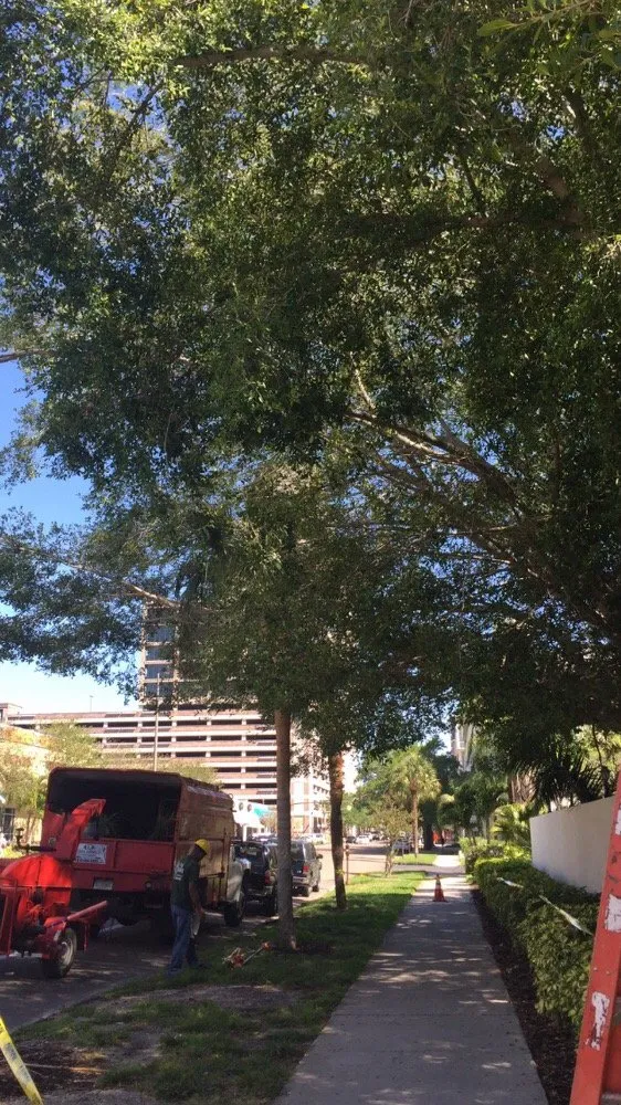 Trusted landscape installation experts serving Saint Petersburg, FL - Er Tree services