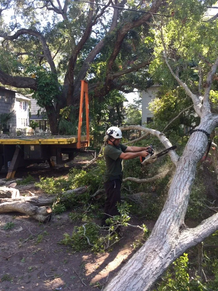 Custom landscape design experts serving Saint Petersburg, FL - Er Tree services