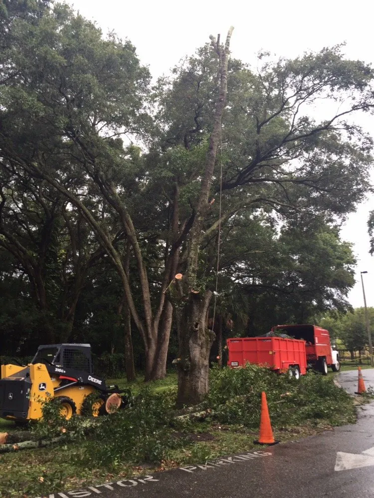 Reliable garden landscaping for outdoor upgrades across Saint Petersburg, FL - Er Tree services