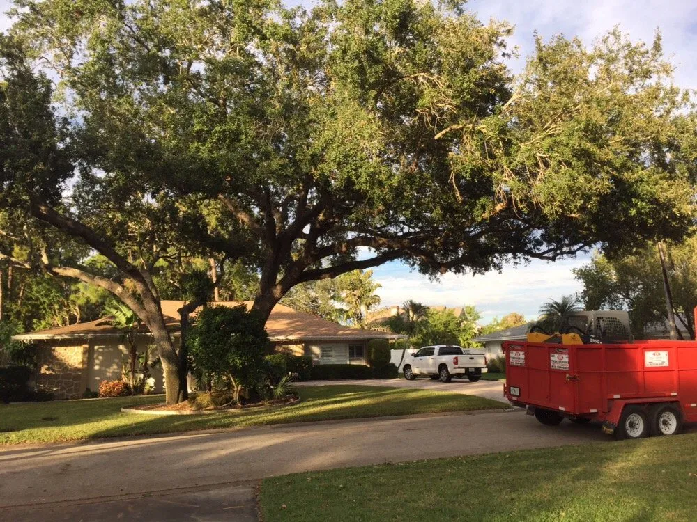 Local lawn care service experts serving Saint Petersburg, FL - Er Tree services