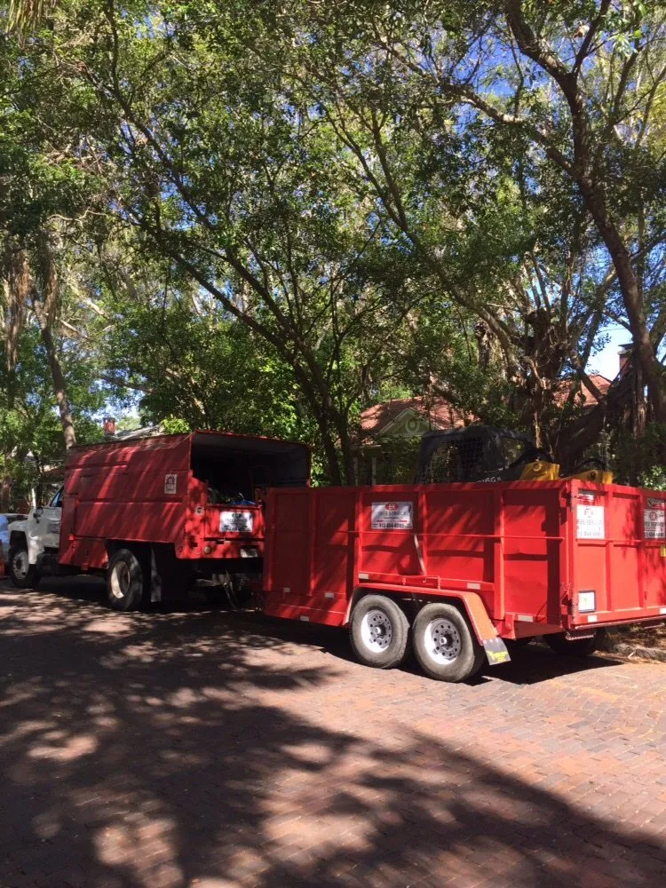 Local yard maintenance for beautiful yards across Saint Petersburg, FL - Er Tree services