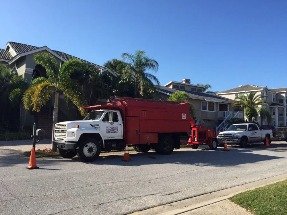 Reliable outdoor landscaping in Saint Petersburg, FL by Er Tree services