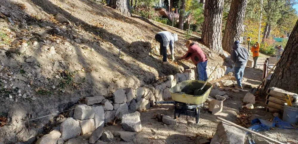 Affordable yard cleanup service in Twin Peaks, CA by ER Yard Clean Up & Yard Maintenance