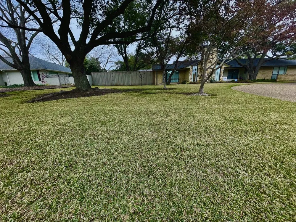 Local garden landscaping in Addison, TX by Erascape