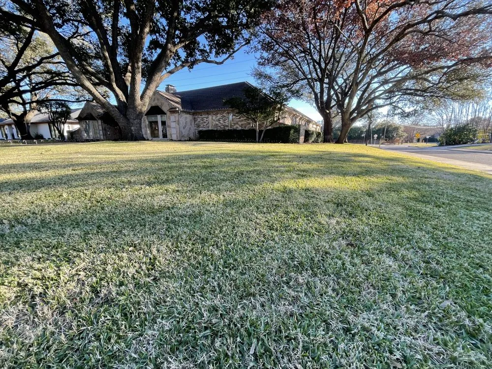 Custom landscaping services in Addison, TX - Erascape