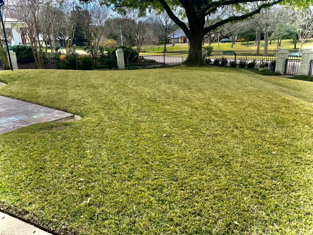 Affordable landscape design for year-round maintenance across Addison, TX - Erascape