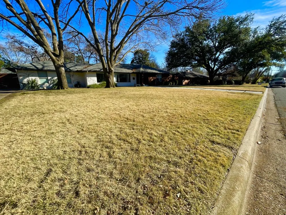 Expert landscape installation in Addison, TX - Erascape