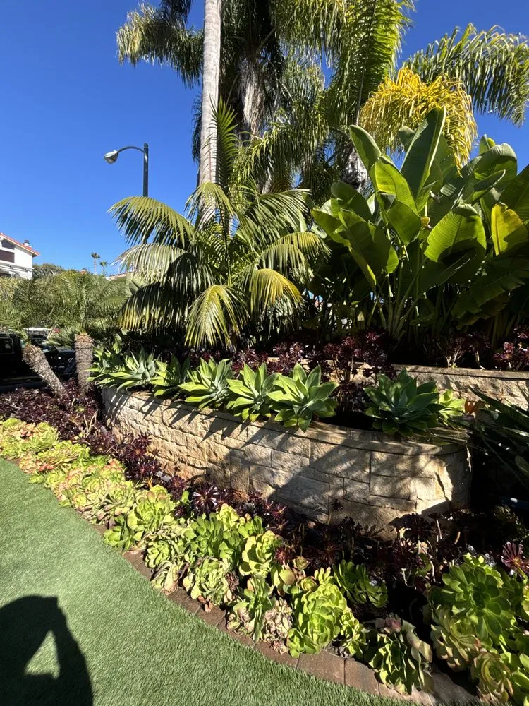 Top-rated landscape installation in San Diego, CA by Erasmo Hernandez Landscape