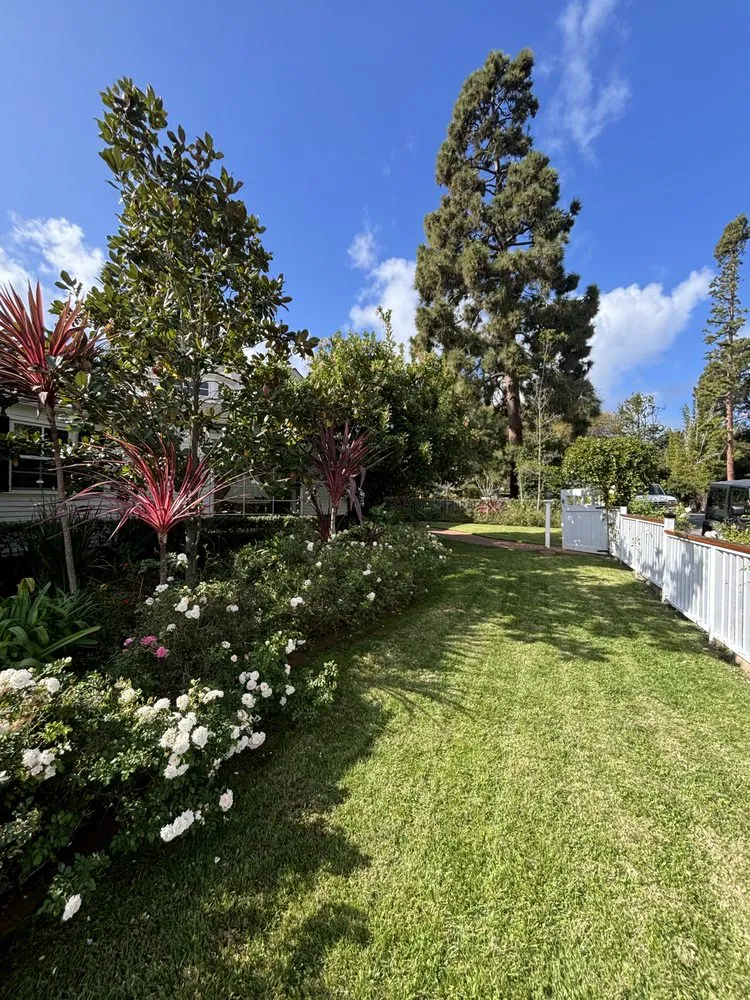 Expert landscape installation in San Diego, CA by Erasmo Hernandez Landscape