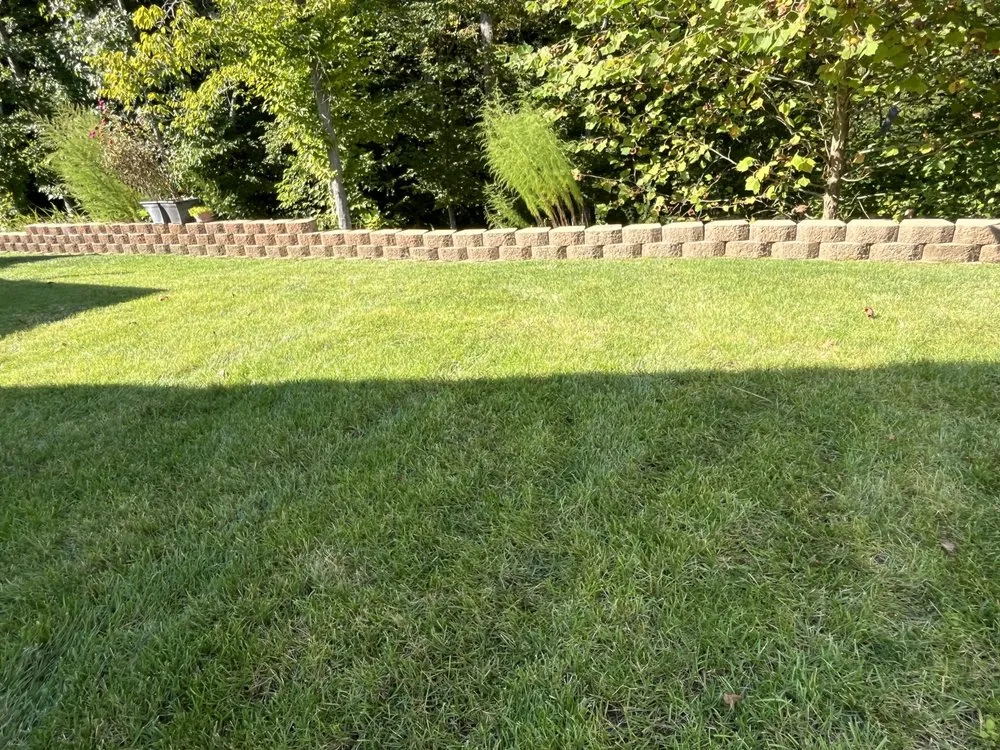 Professional yard maintenance in High Point, NC by Erazo Landscaping Services