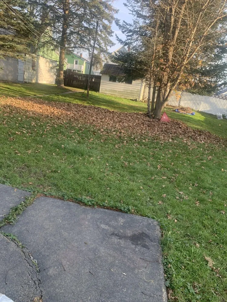 Reliable yard maintenance experts serving Schenectady, NY - Erb Landscaping And Lawn Care