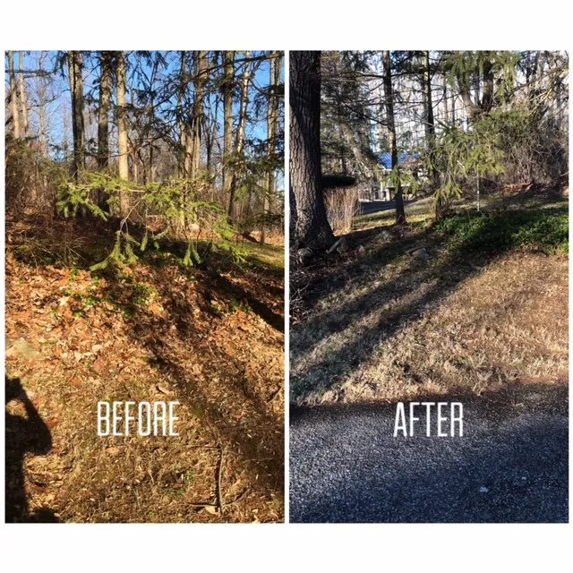 Local lawn care service experts serving Asbury, NJ - Erb Lawn Care