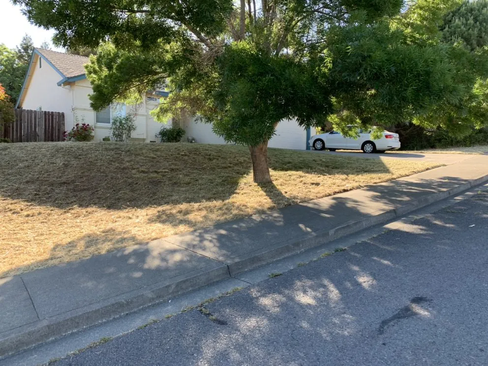 Custom residential landscaping in Vallejo, CA - ERBA CARE