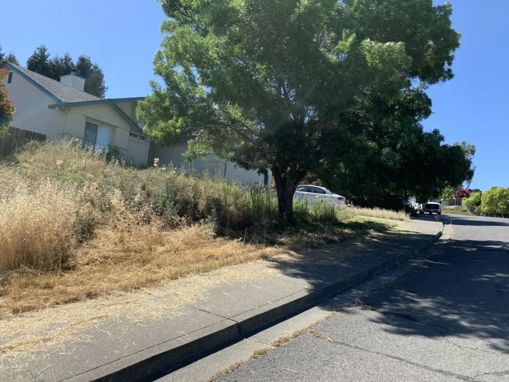 Expert landscape design for year-round maintenance across Vallejo, CA - ERBA CARE