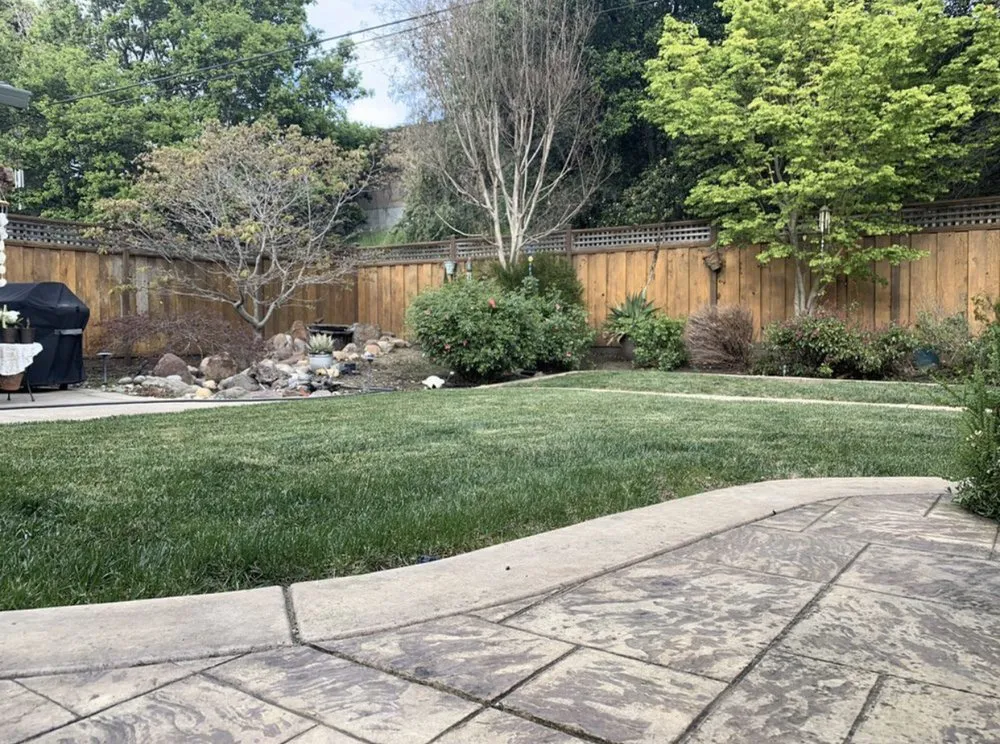 Local landscape installation in Vallejo, CA - ERBA CARE