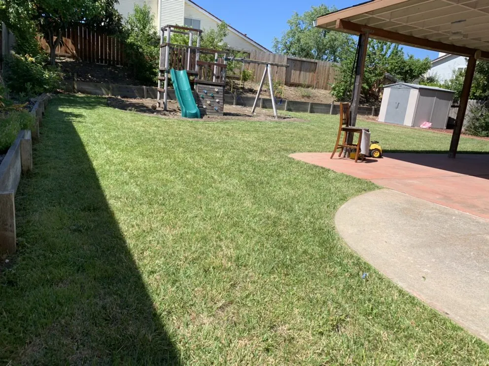 Trusted landscape design for year-round maintenance across Vallejo, CA - ERBA CARE