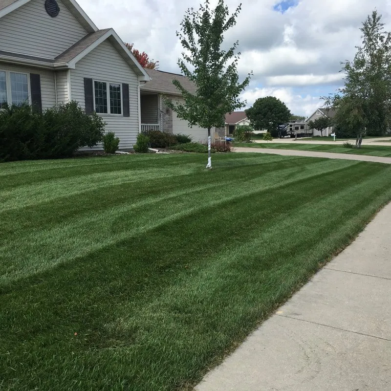 Local lawn mowing service in Vallejo, CA - ERBA CARE