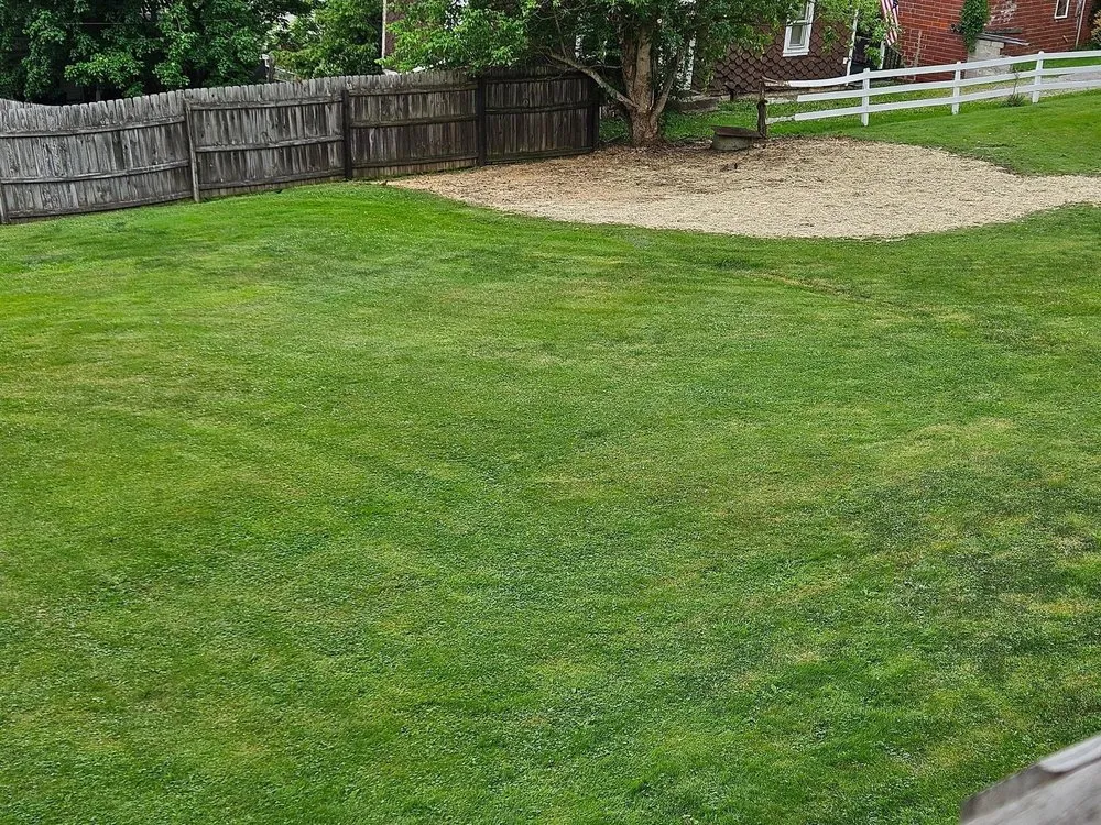 Professional lawn mowing service in Scenery Hill, PA - Erban Solutions