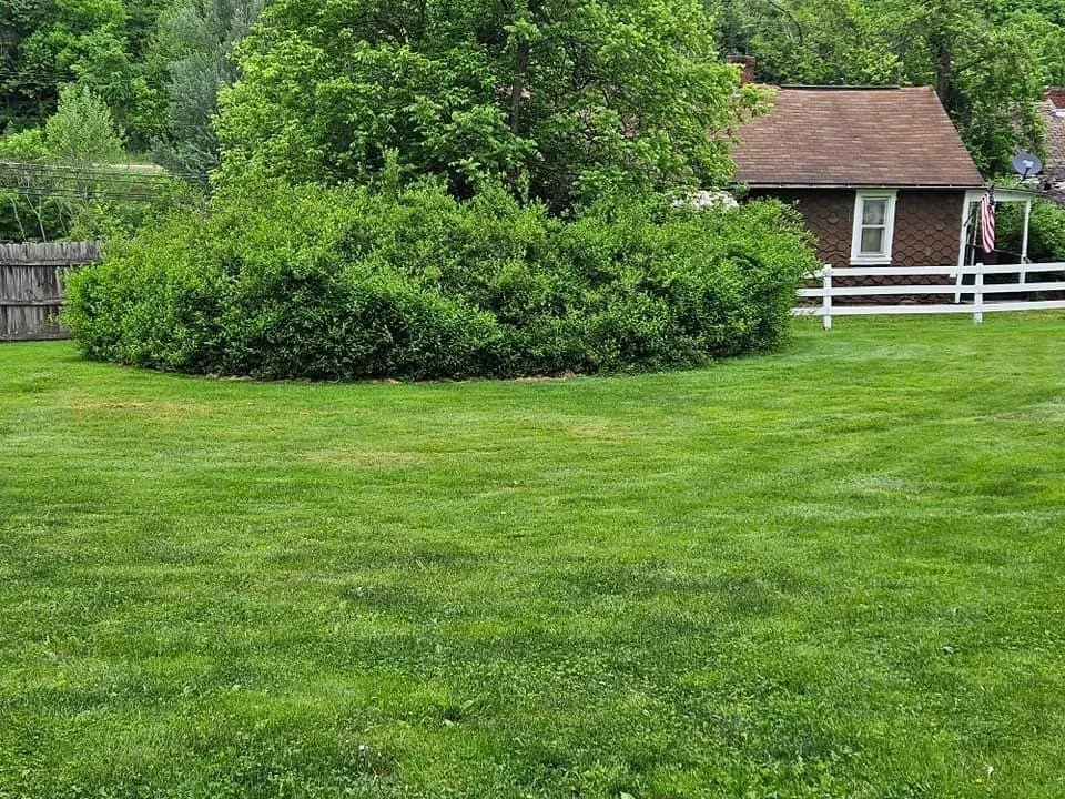 Local lawn care service for year-round maintenance in Scenery Hill, PA by Erban Solutions