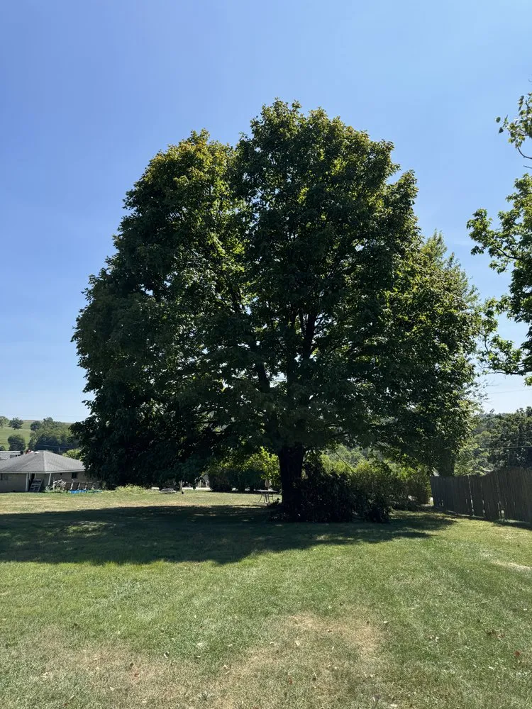 Local outdoor landscaping for year-round maintenance in Scenery Hill, PA by Erban Solutions