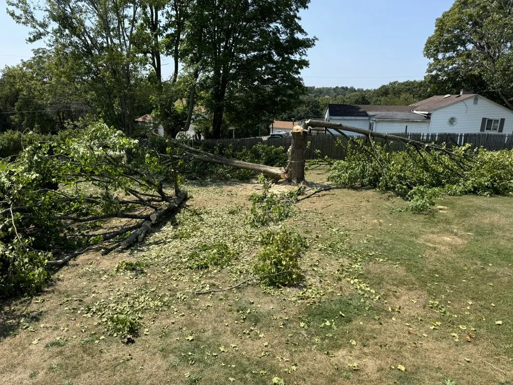 Top-rated lawn care service for year-round maintenance across Scenery Hill, PA - Erban Solutions