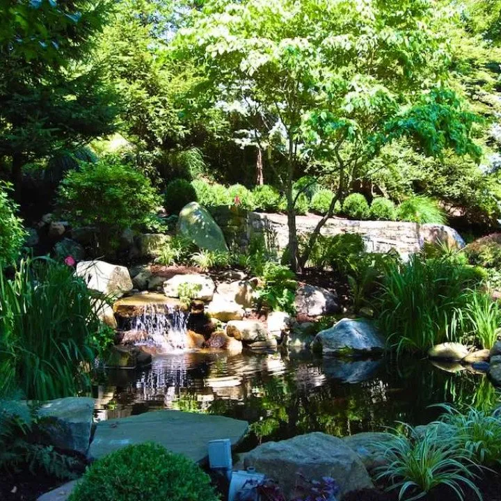 Top-rated yard cleanup service for residential properties across Annandale, NJ - Ercolano's Landscaping