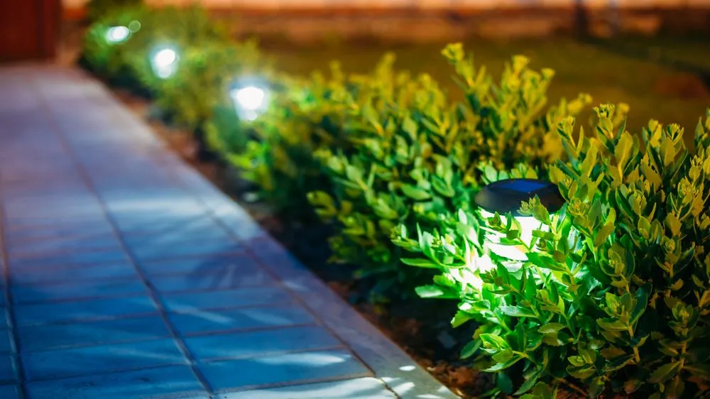 Expert garden landscaping for outdoor upgrades across Midlothian, TX - Eretzscape